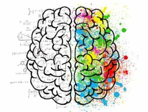 cervell-colors psicologia